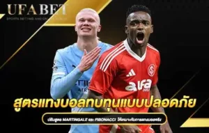 ปกสูตรแทงบอลทบทุนแบบปลอดภัย