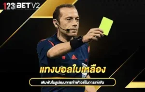 ปกแทงบอลใบเหลือง